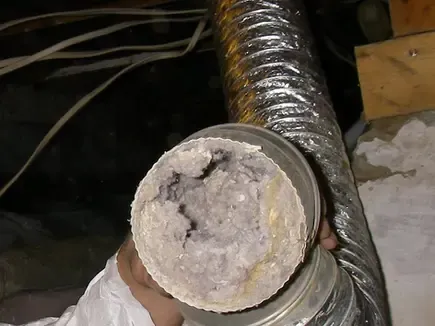 Lint removed during dryer vent cleaning in a Fort Lauderdale home